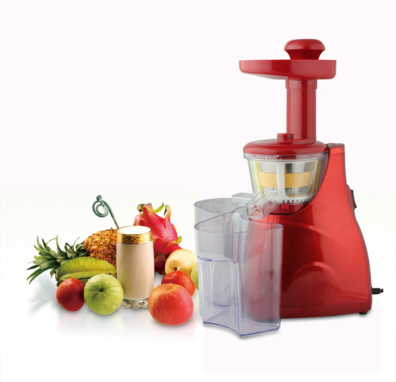 NS-SJ01 100Watt Hot Sale Classic Kitchen Slow Juicer Extractor